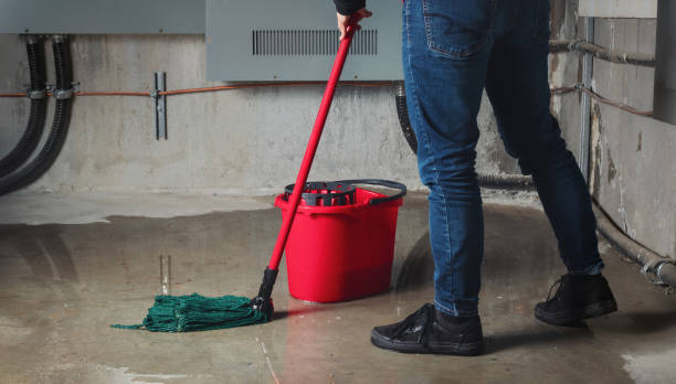 Best Sewage cleanup and water damage restoration  in Rouse, CA