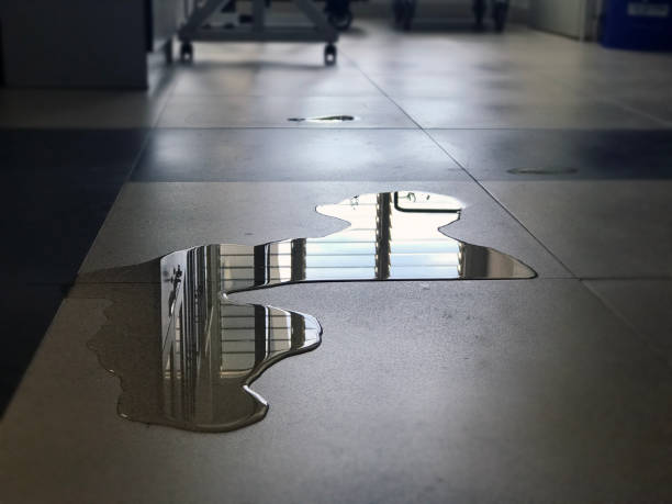 Best Water damage restoration process  in Rouse, CA