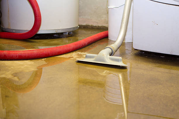 Best Water damage contractors near me  in Rouse, CA