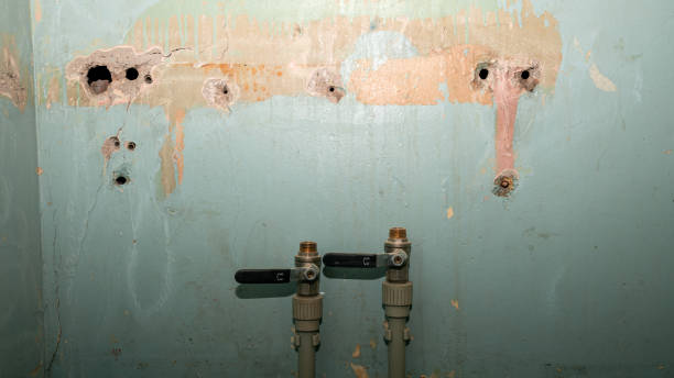 Best Sewage cleanup and water damage restoration  in Rouse, CA