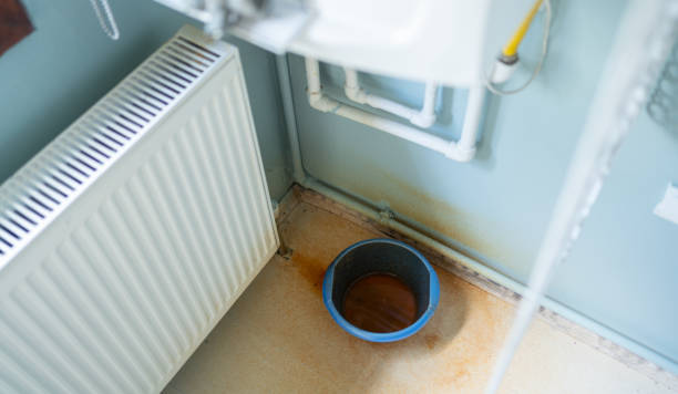 Trusted Rouse, CA Water damage restoration Experts