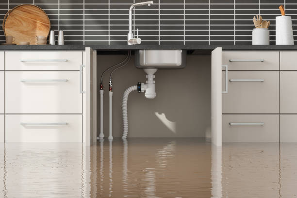 Best Water damage cleanup near me  in Rouse, CA