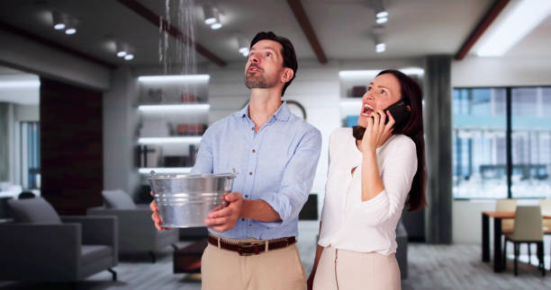 Water damage restoration mold remediation in Rouse, CA